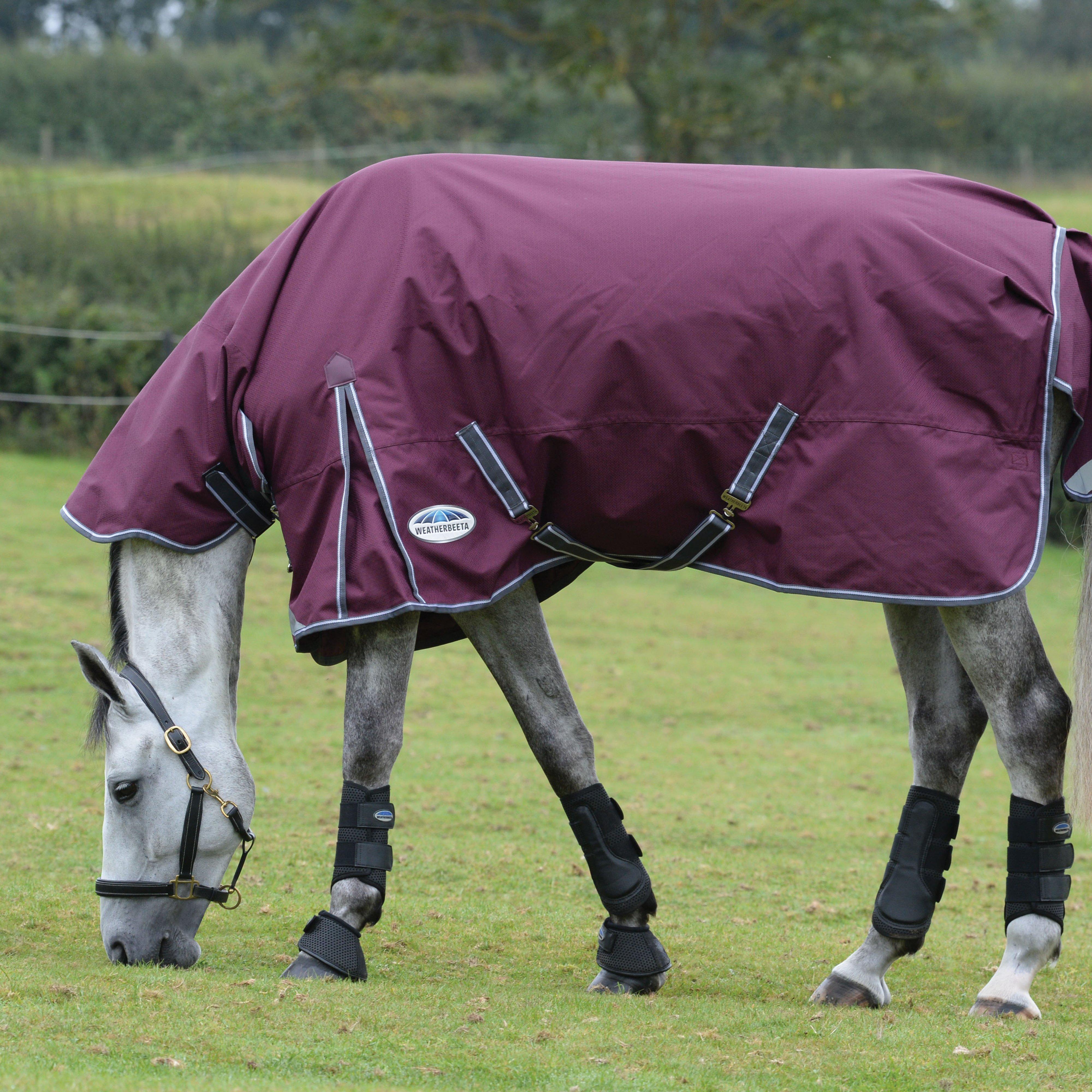 ComFiTec Plus Dynamic II Combo Neck Medium Turnout Rug