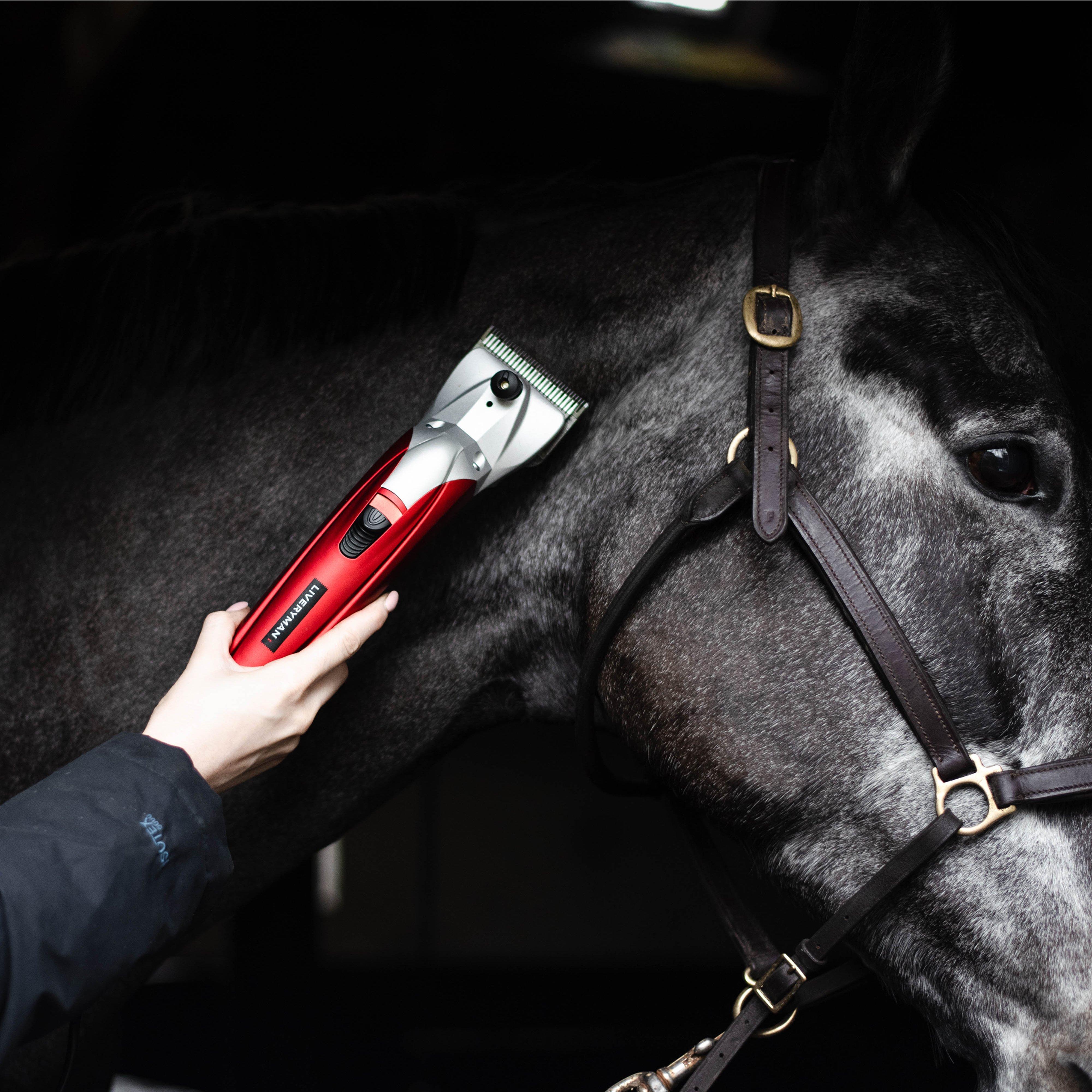 Black Beauty Clipper