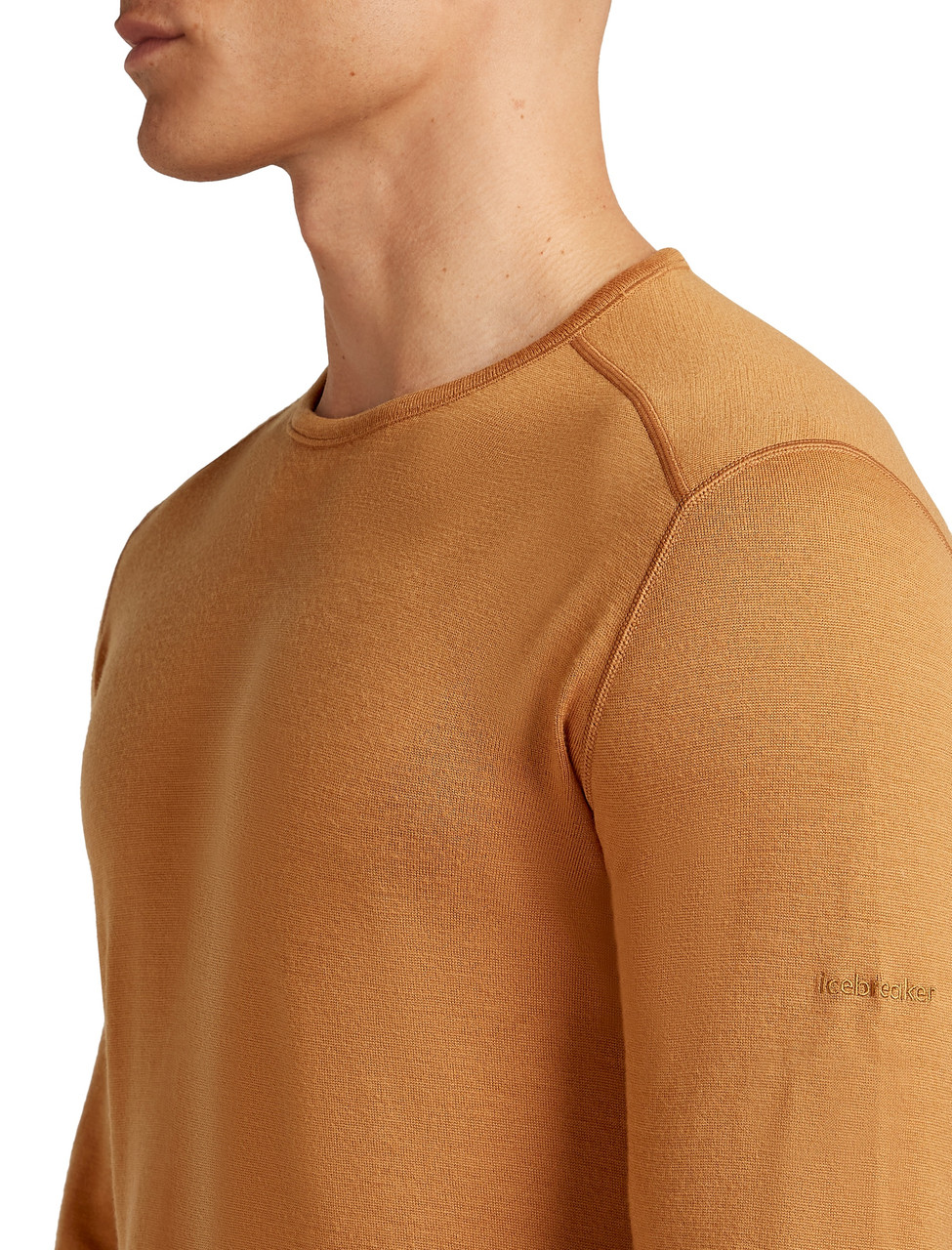 icebreaker Merino 260 Tech Long Sleeve Crewe - Men's