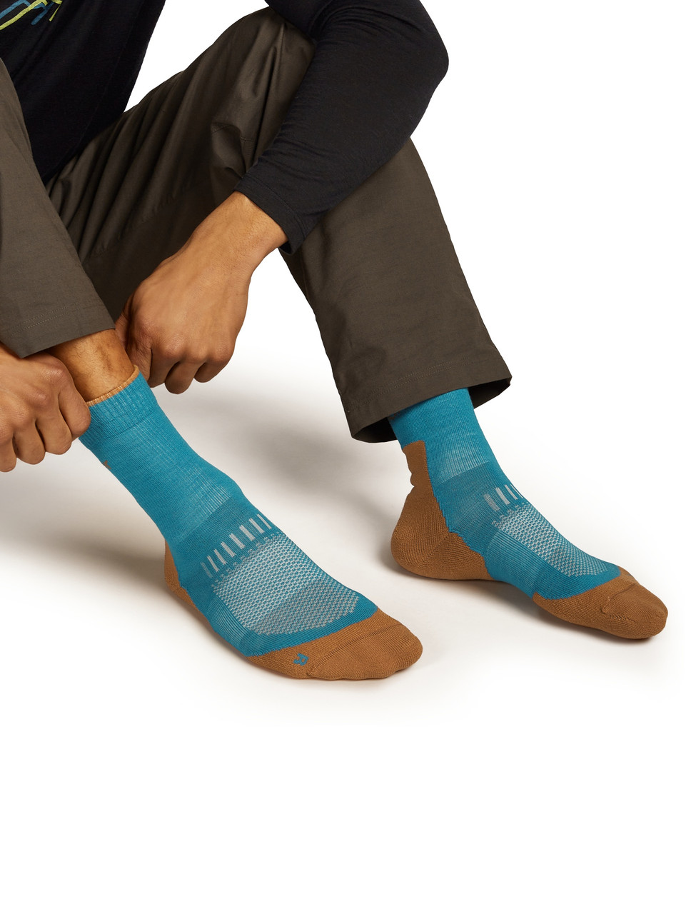 icebreaker Hike+ Light Crew Socks - Men's