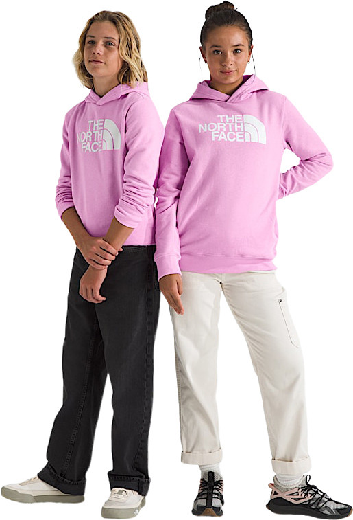 The North Face Half Dome Pullover Hoodie