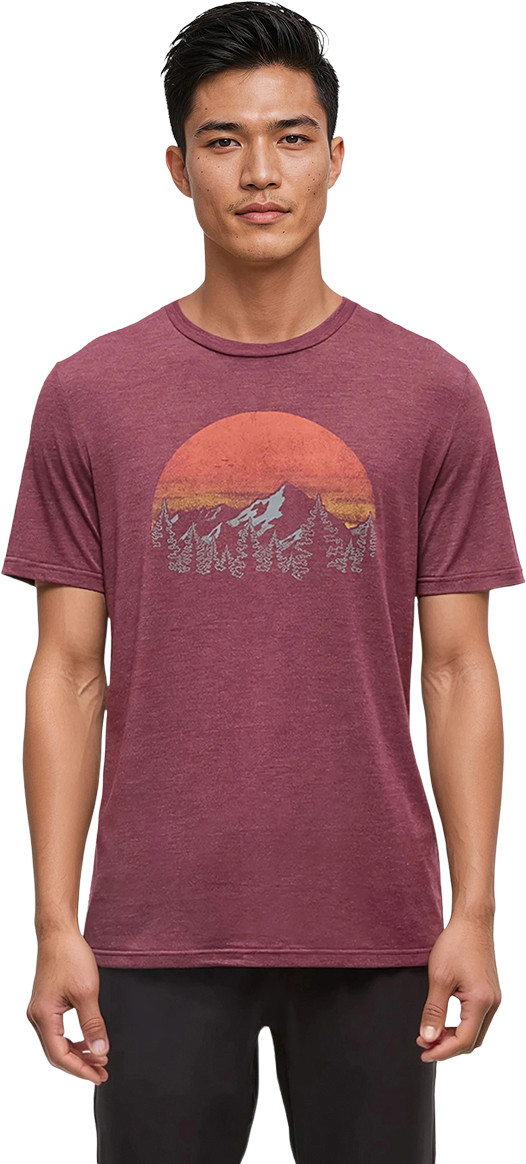 tentree Vintage Sunset T-Shirt. - Men's