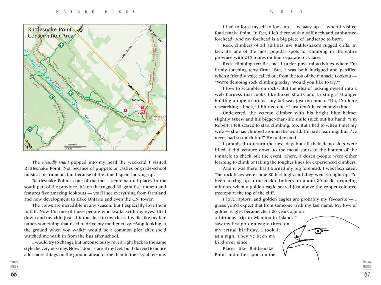 Firefly Nature Hikes Near-Toronto Trails and Adventures