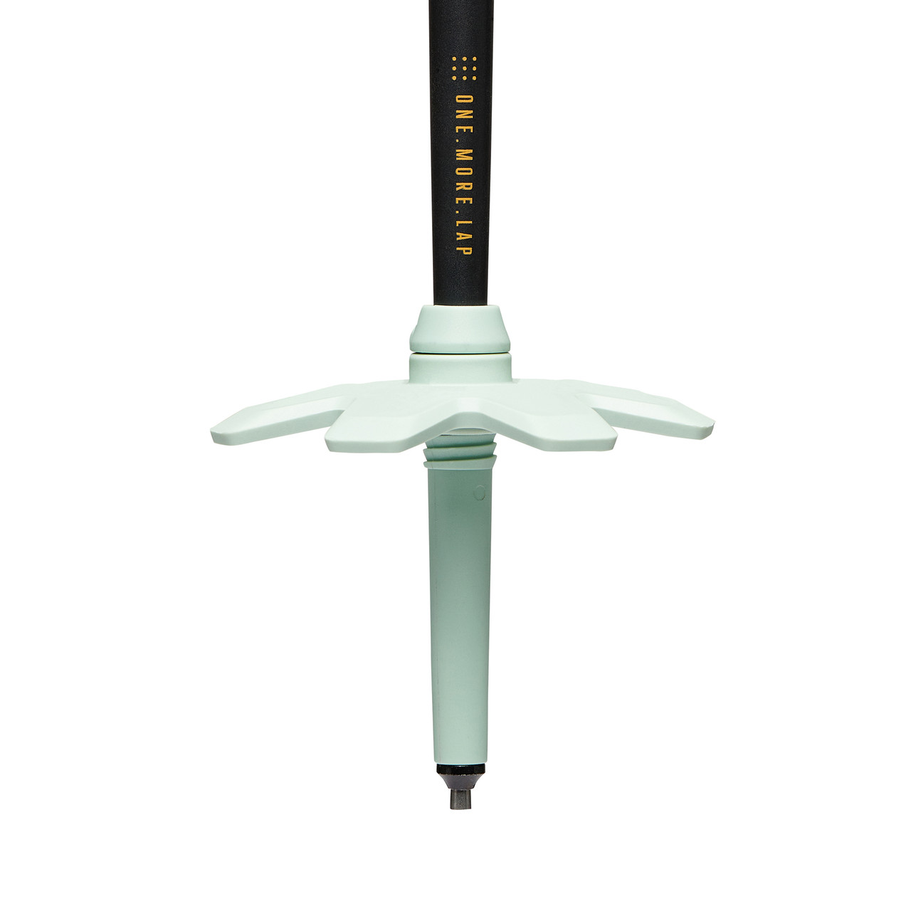 Black Diamond Traverse Pro Poles