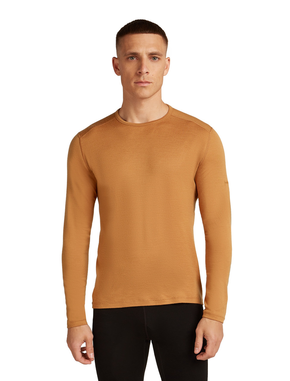 icebreaker Merino 260 Tech Long Sleeve Crewe - Men's