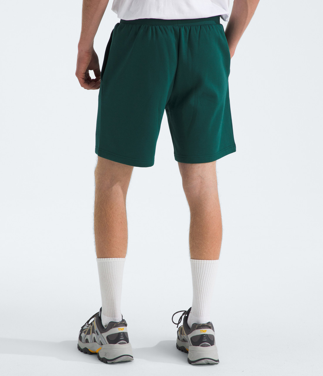 The North Face Box NSE Regular Shorts - Men's