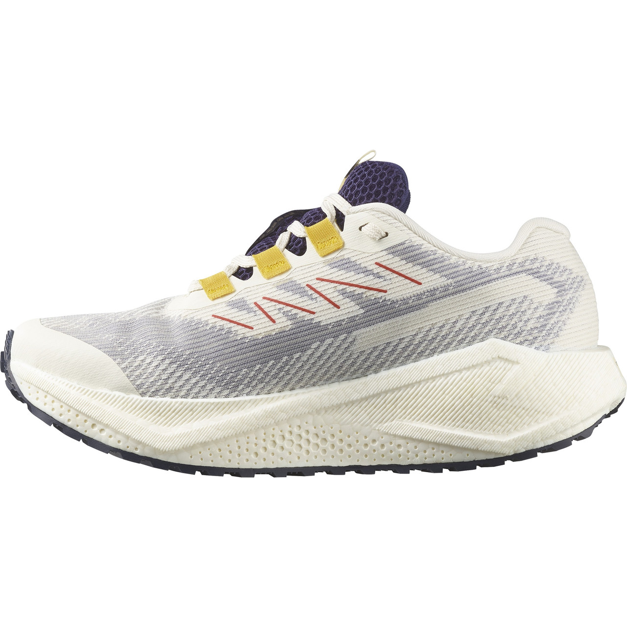 Salomon Aero Blaze 3 Gravel Gore-Tex Running Shoes - Women's