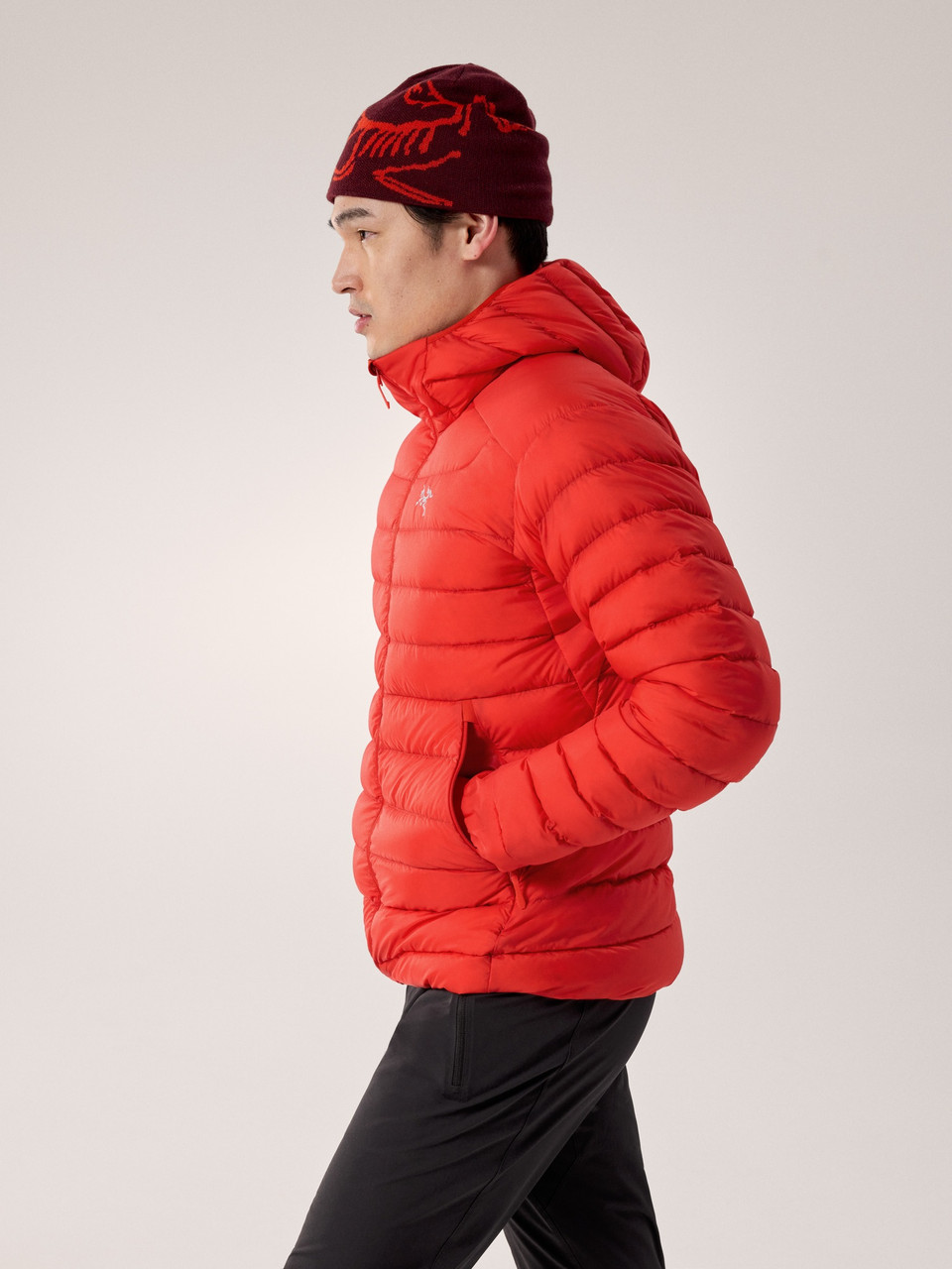 Arc'teryx Cerium Hoody - Men's