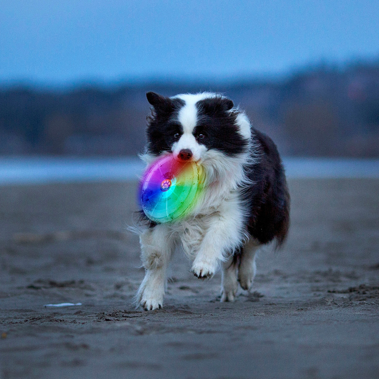 Nite Ize LED Flying Disc