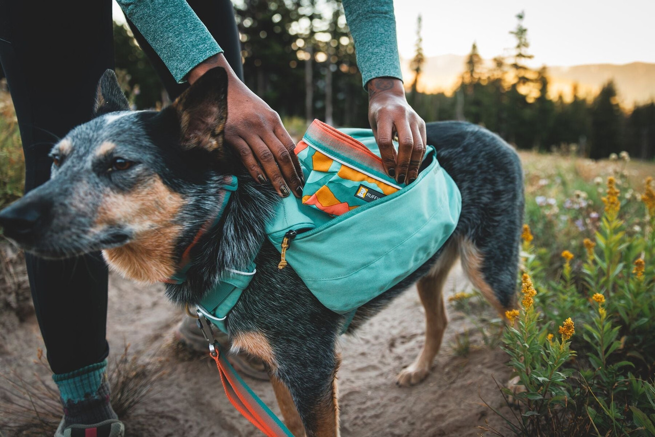 Ruffwear Quencher Bowl
