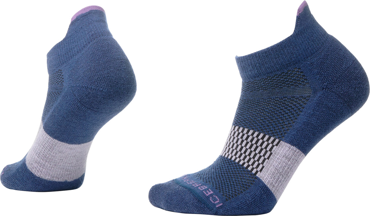 icebreaker Multisport Light Micro Socks - Women's