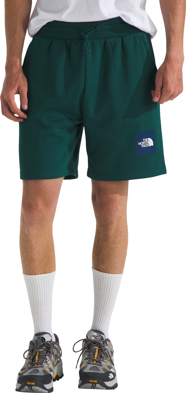 The North Face Box NSE Regular Shorts - Men's