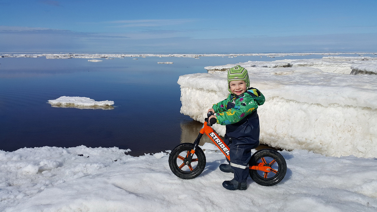 Strider 12 Sport Balance Bike - Infants to Children