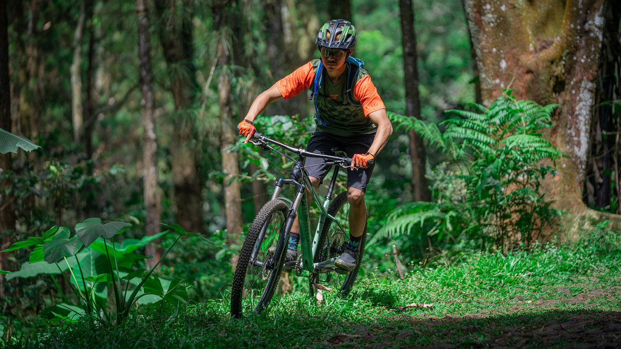 Polygon Xtrada 6 Mountain Bicycle - Unisex