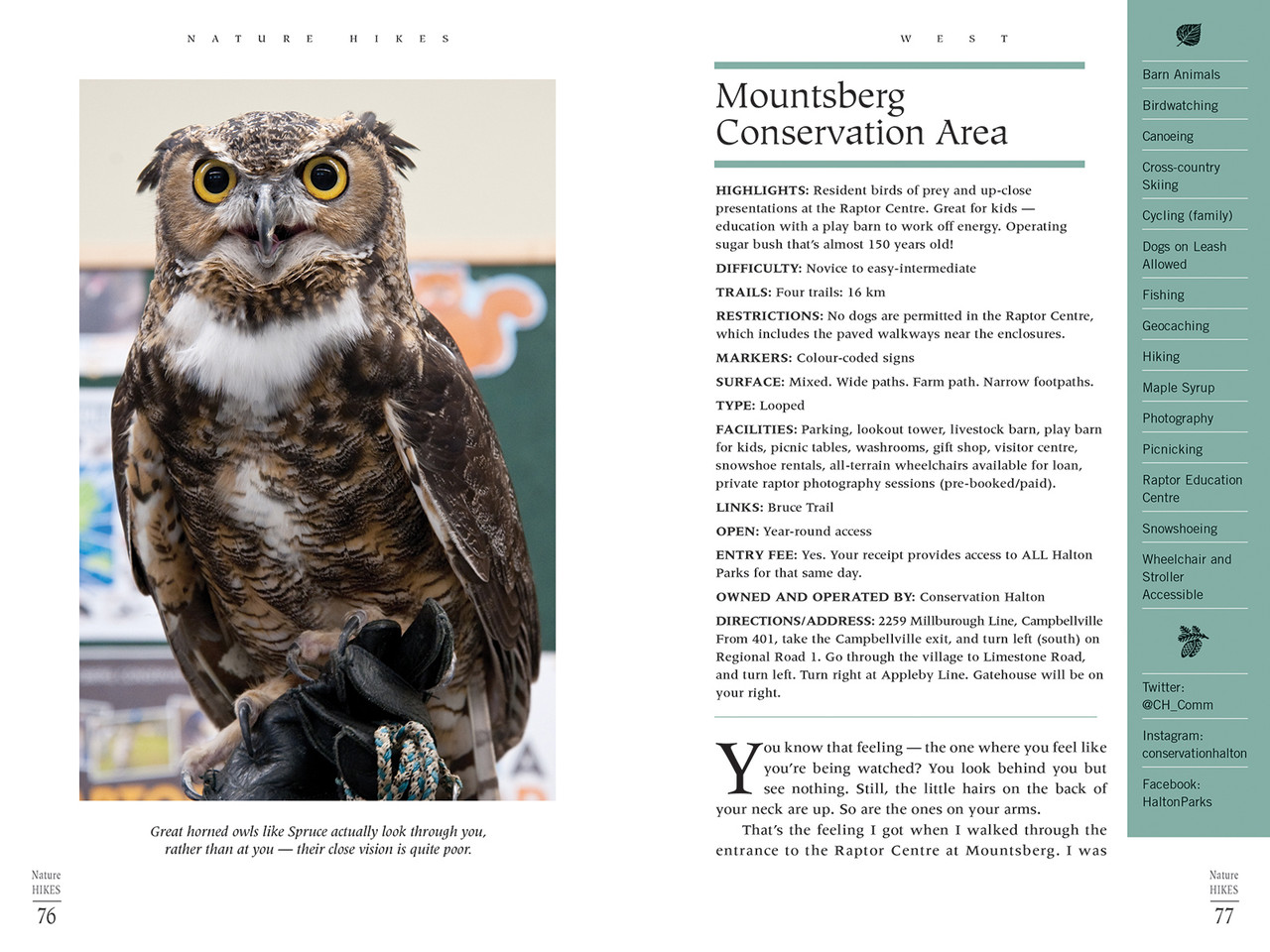 Firefly Nature Hikes Near-Toronto Trails and Adventures