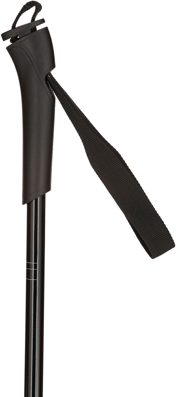 Rossignol FT 501 Junior Poles - Children to Youths