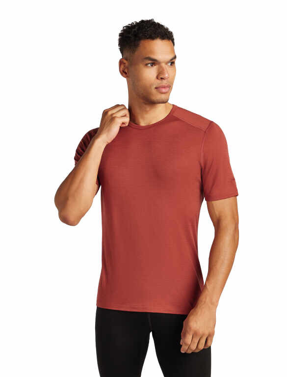 icebreaker Merino 200 Oasis SS Crewe - Men's
