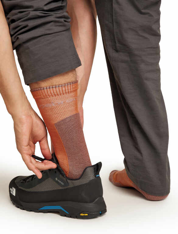 icebreaker Hike+ Light Crew Socks - Men's