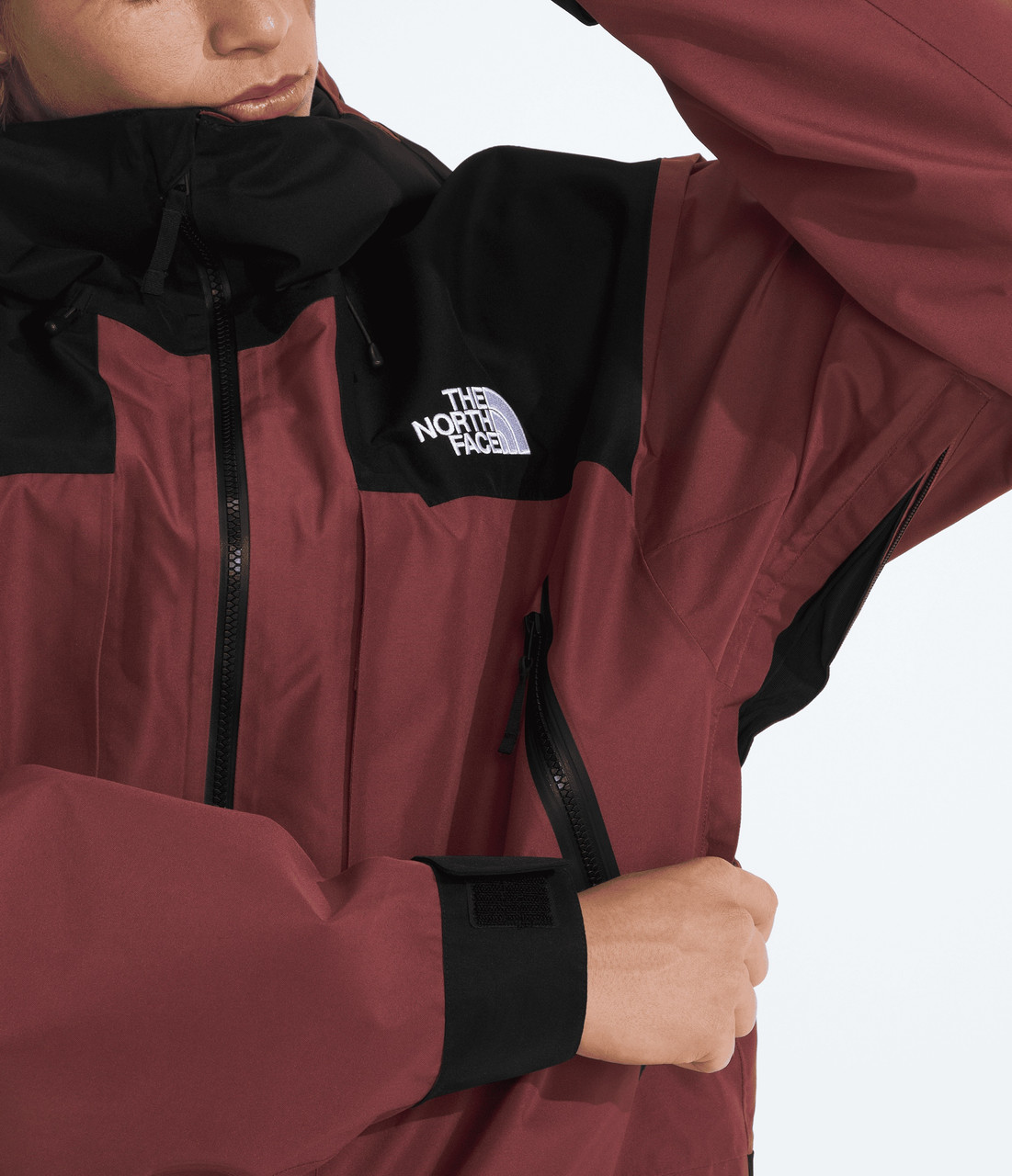 The North Face GTX Hex Jacket - Men's