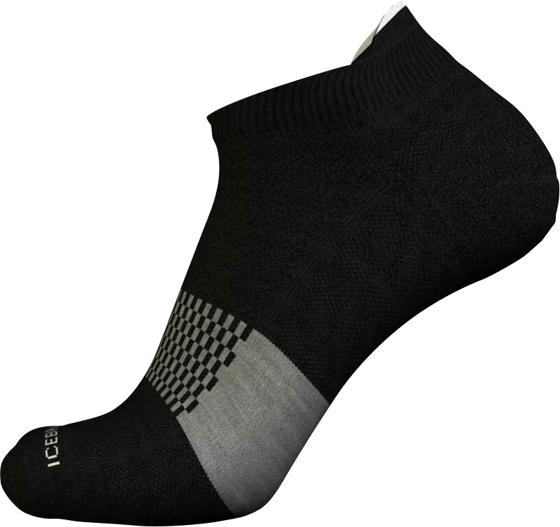 icebreaker Multisport Light Micro Socks - Women's