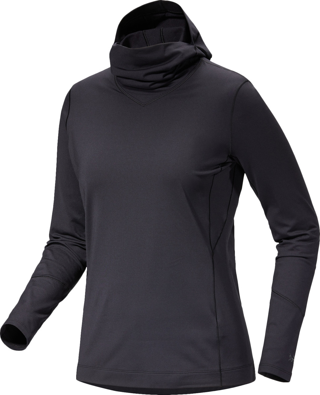 Arc'teryx Rho Base Layer Hoody - Women's