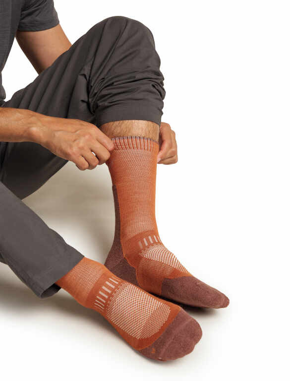 icebreaker Hike+ Light Crew Socks - Men's