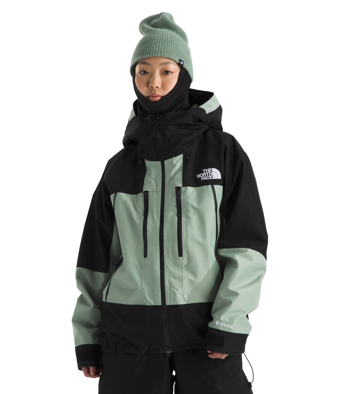 The North Face GTX Hex Jacket - Women's