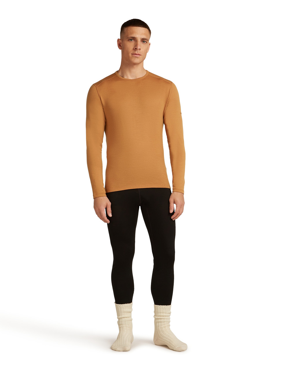 icebreaker Merino 260 Tech Long Sleeve Crewe - Men's