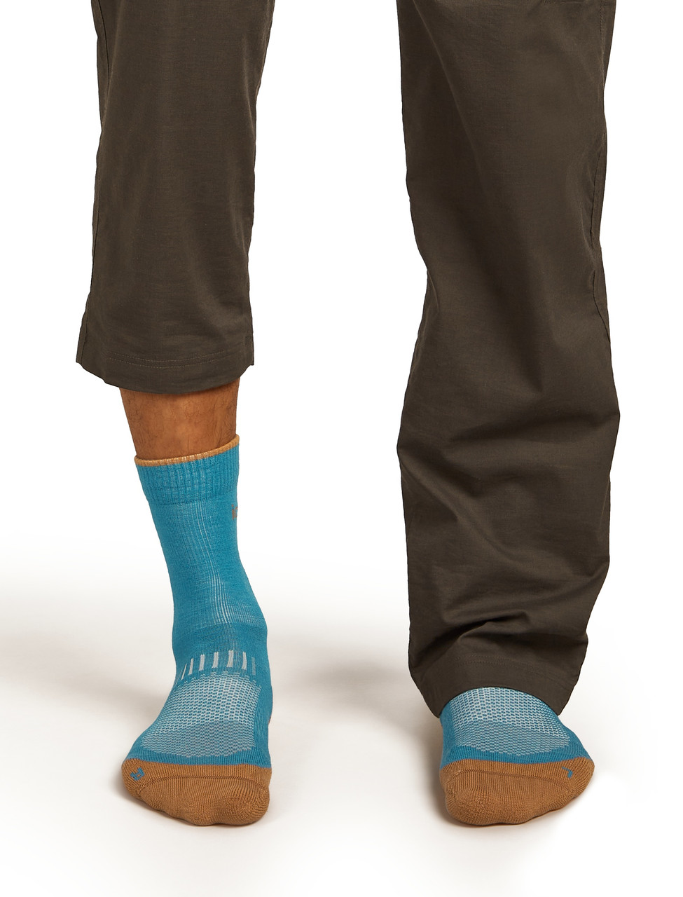 icebreaker Hike+ Light Crew Socks - Men's