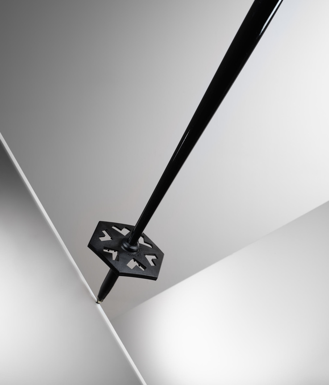 Black Crows Furtis Ski Poles - Unisex