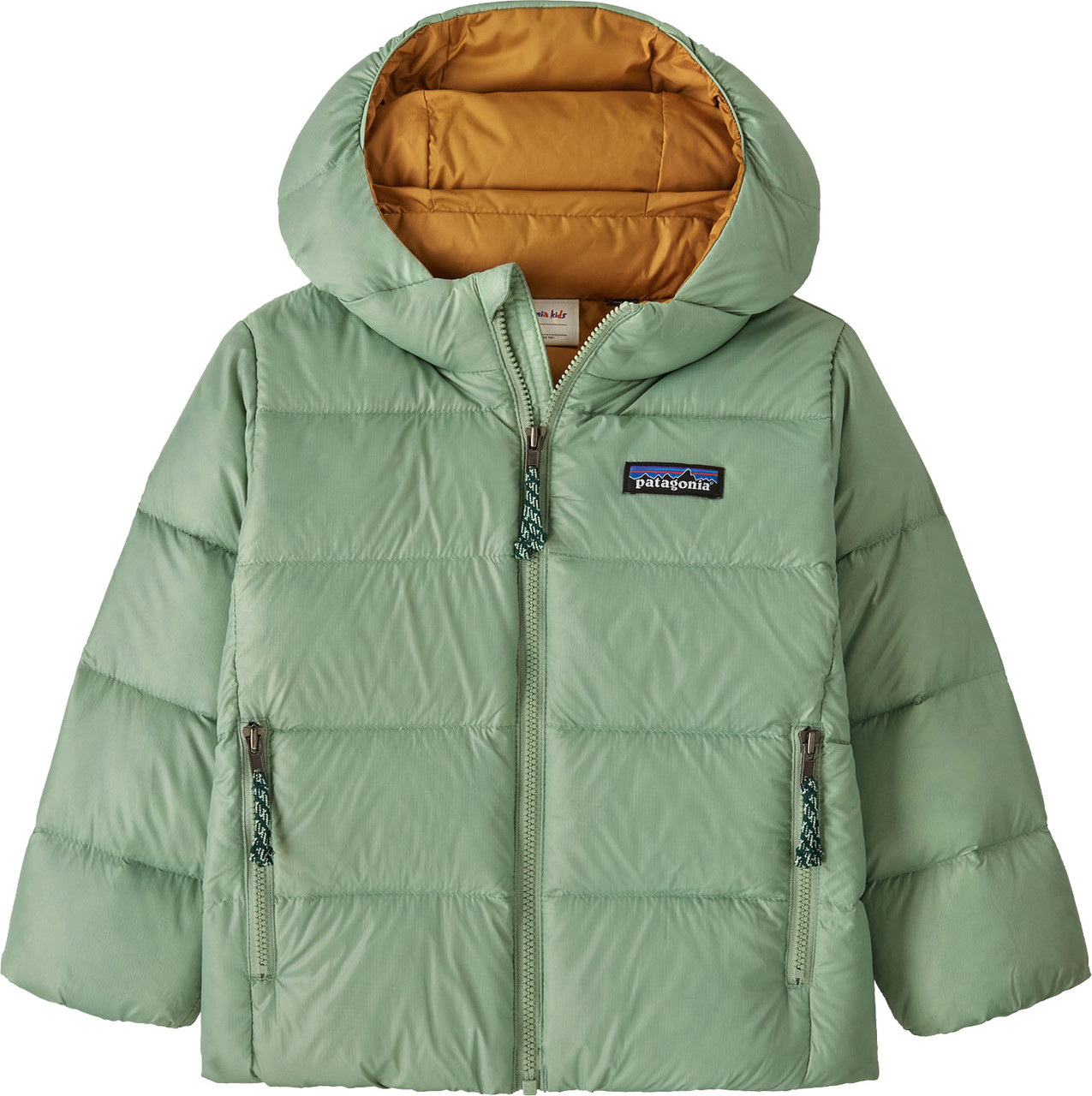 Patagonia Hi-Loft Down Sweater Hoody - Infants