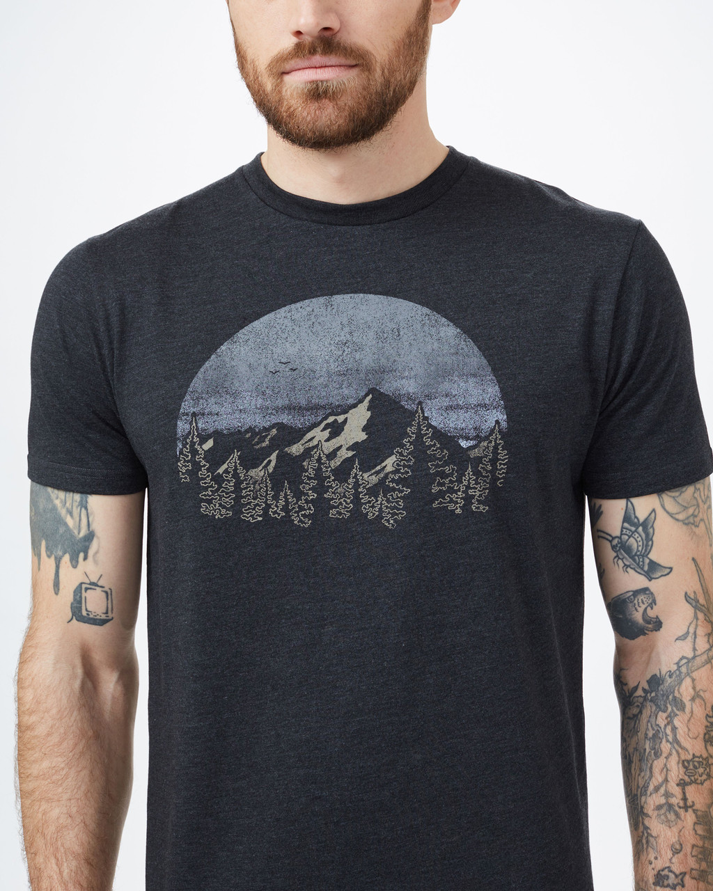 tentree Vintage Sunset T-Shirt. - Men's
