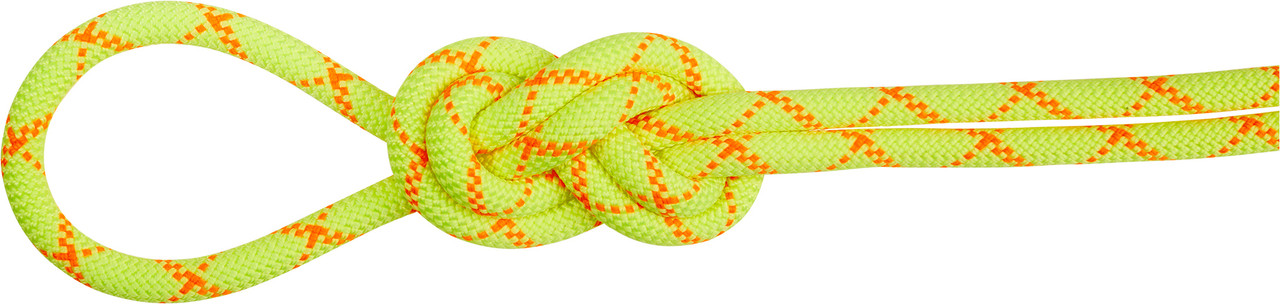 Mammut 9.5 Alpine Core Protect Dry Rope