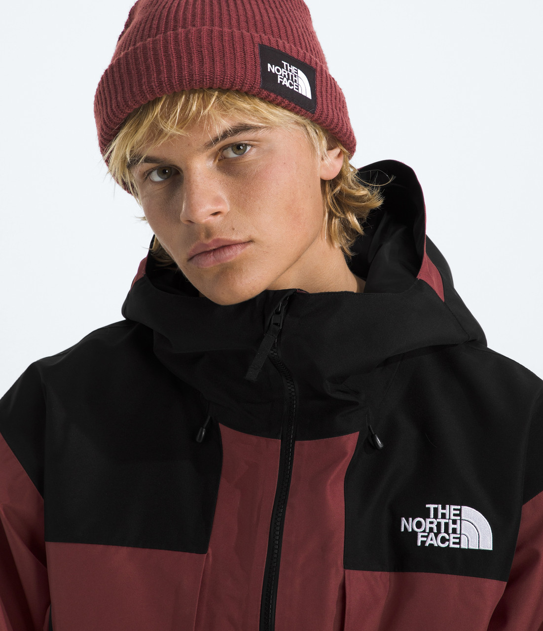 The North Face GTX Hex Jacket - Men's