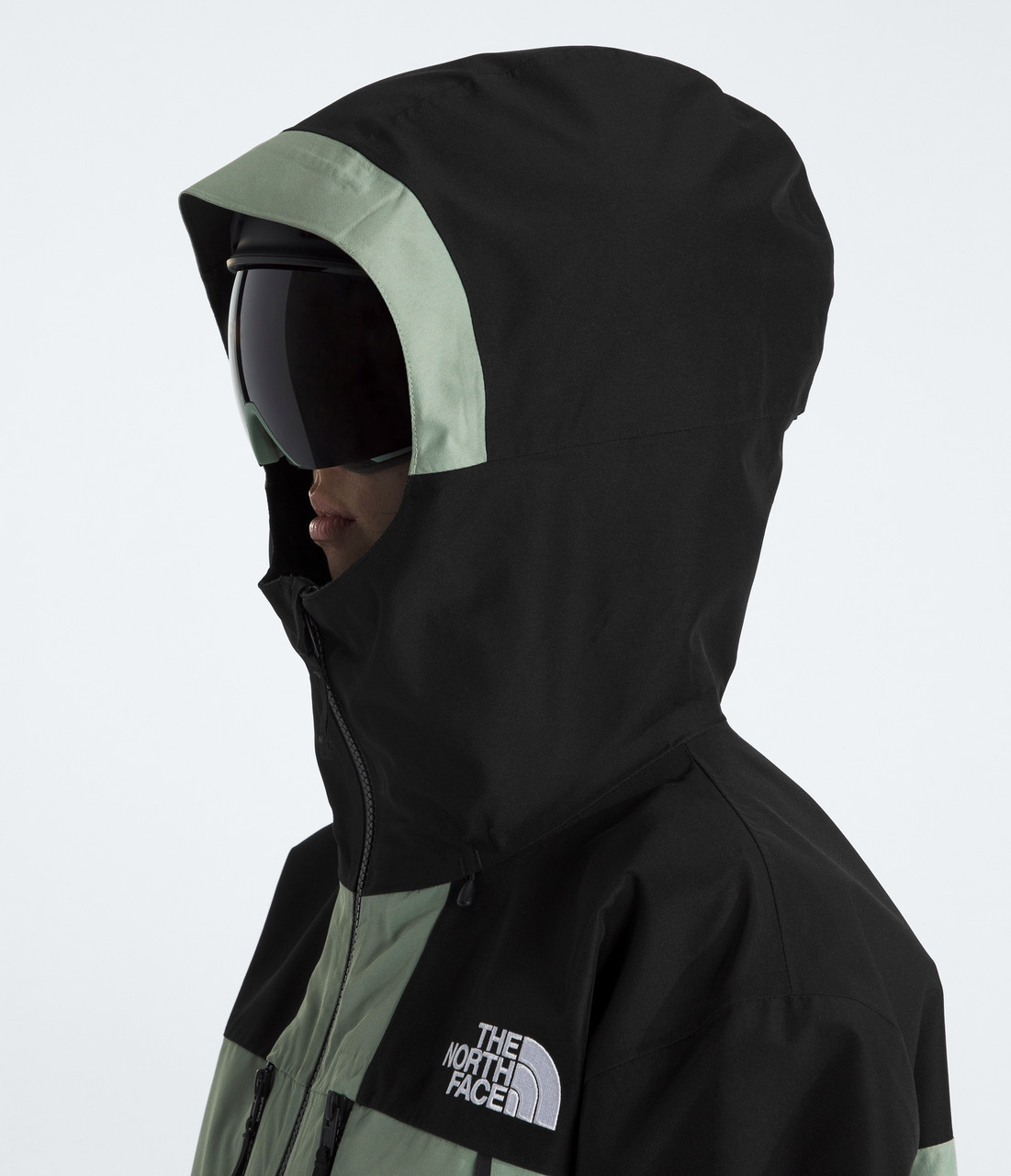 The North Face GTX Hex Jacket - Women's