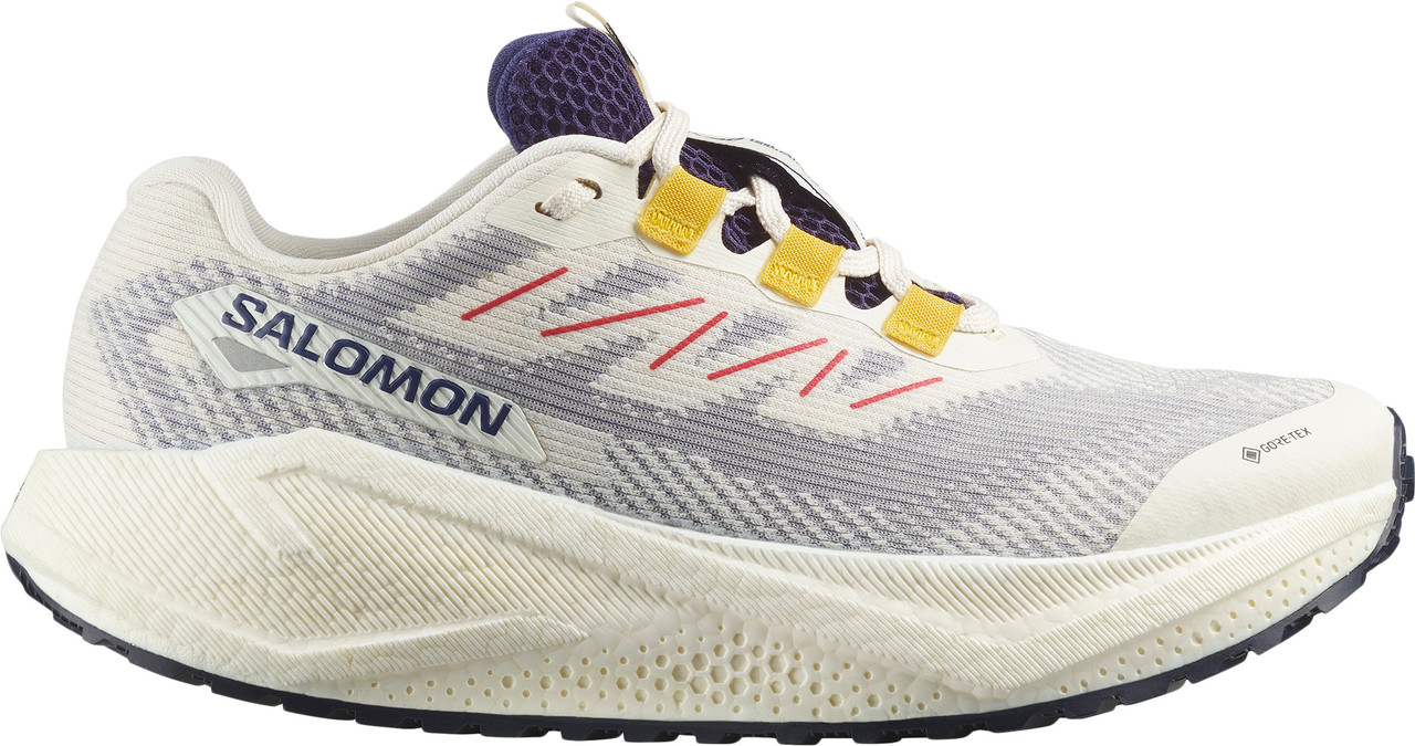 Salomon Aero Blaze 3 Gravel Gore-Tex Running Shoes - Women's