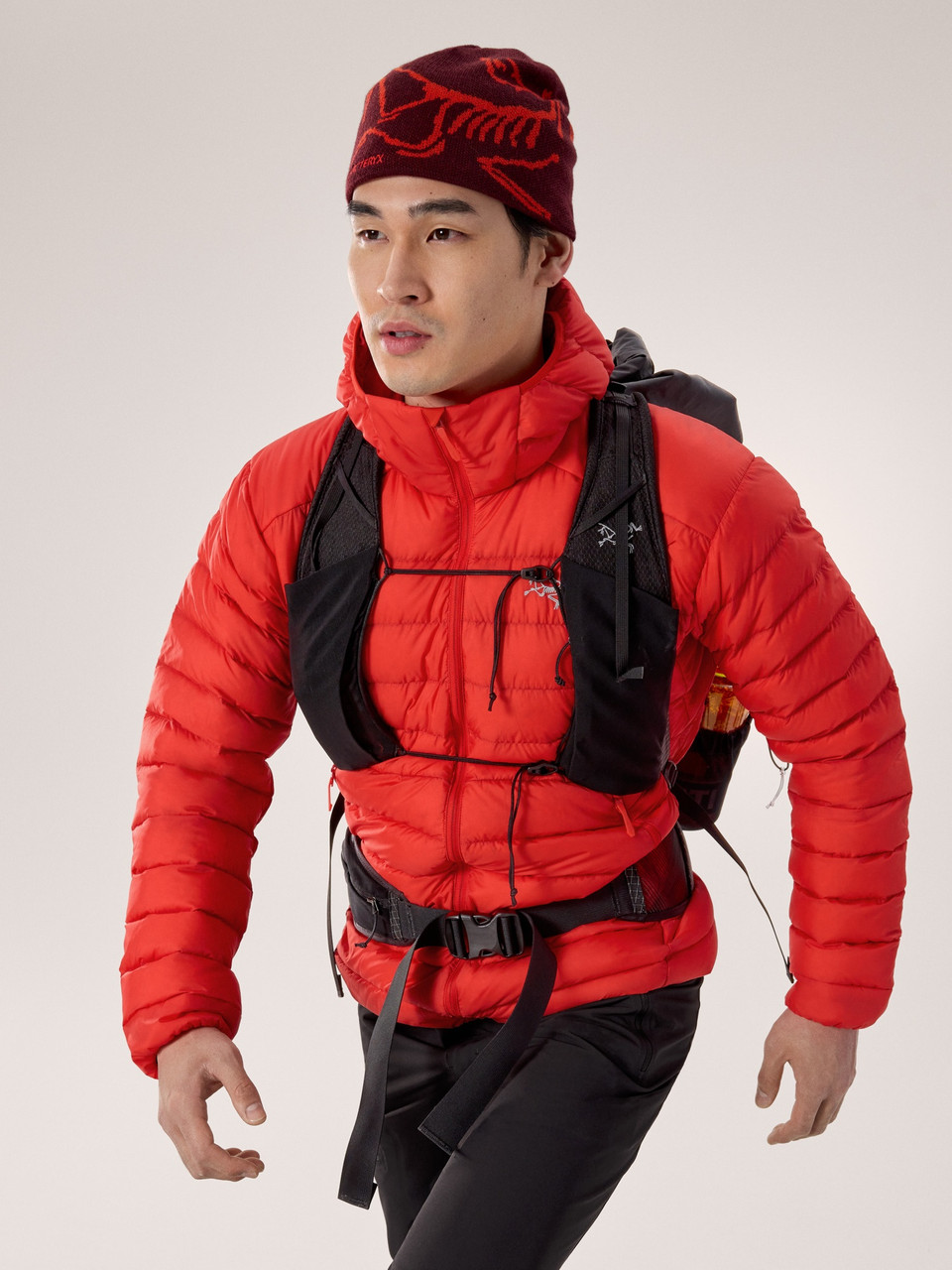 Arc'teryx Cerium Hoody - Men's