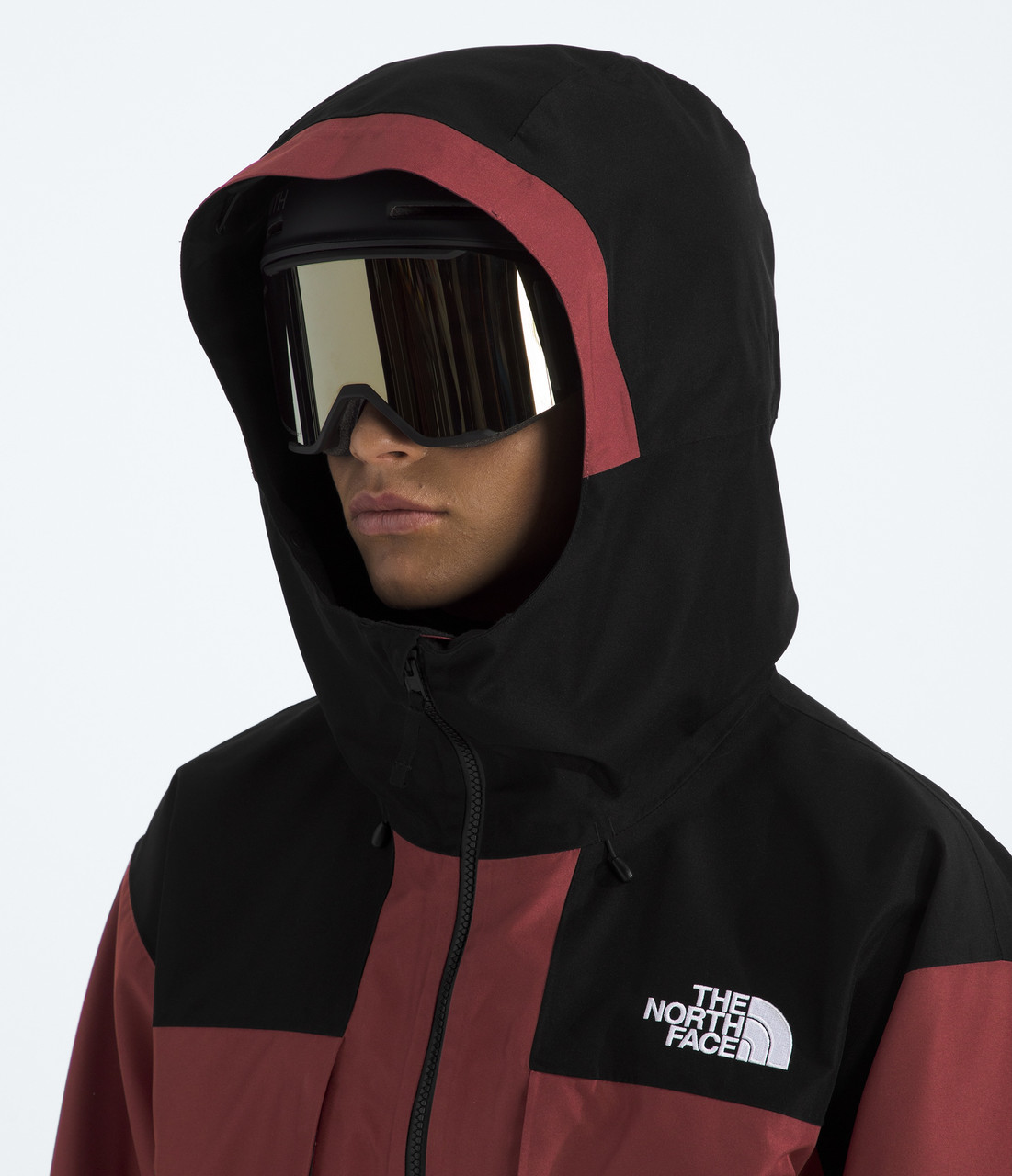 The North Face GTX Hex Jacket - Men's