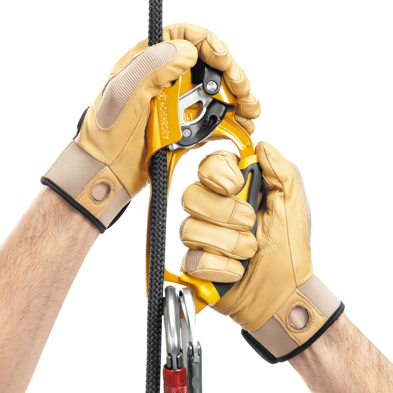 Petzl Ascension Ascender