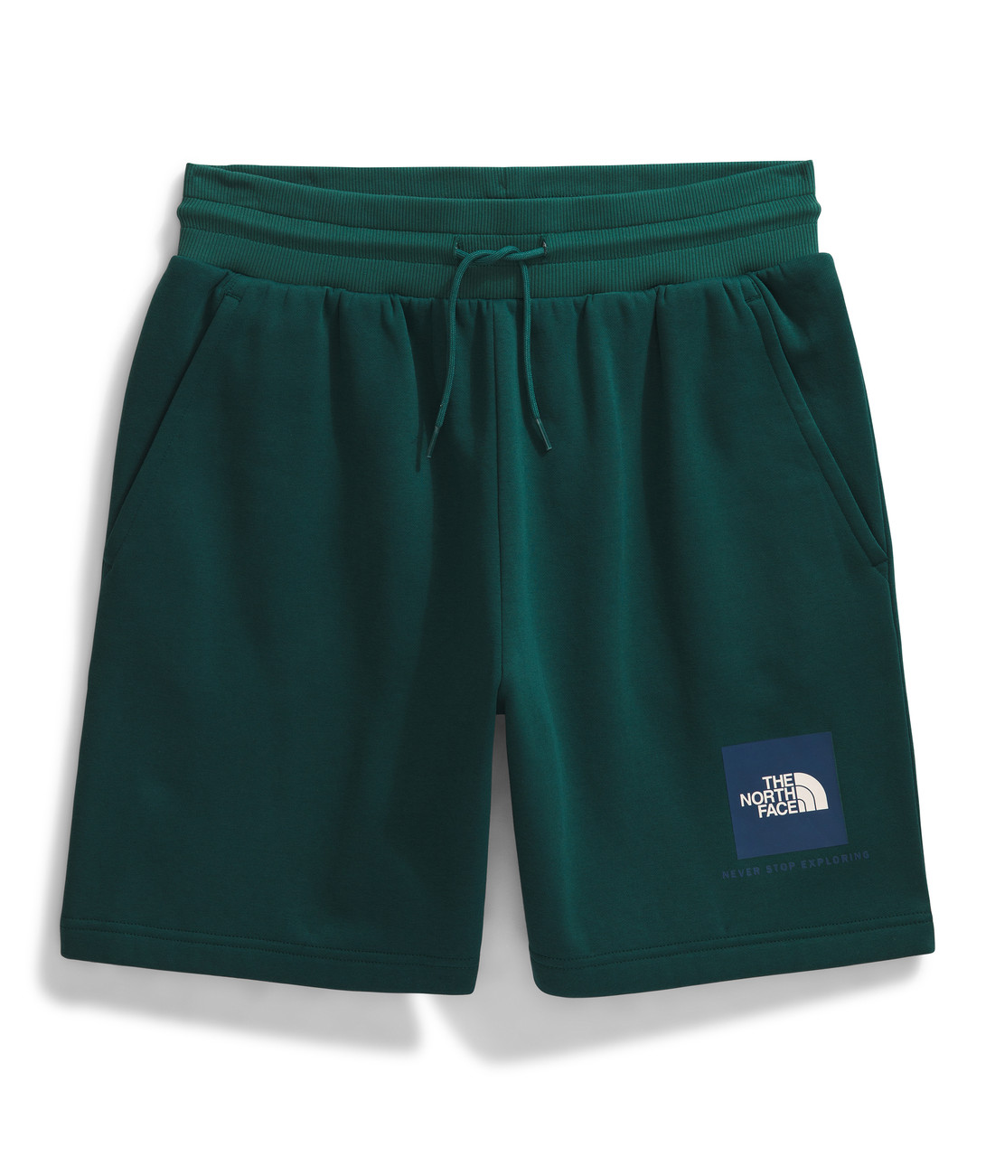 The North Face Box NSE Regular Shorts - Men's