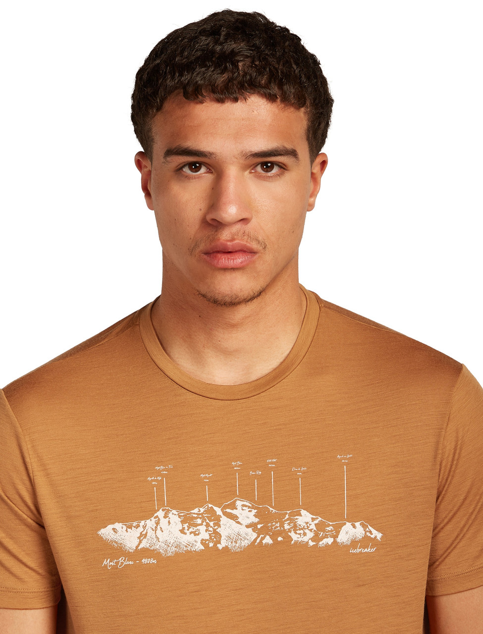 icebreaker Merino 150 Tech Lite Short Sleeve Tee - Men's