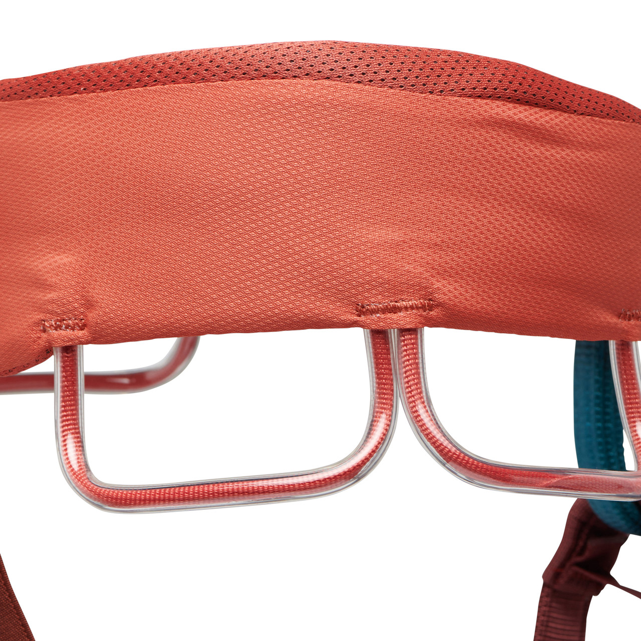 Black Diamond Momentum Harness - Women's