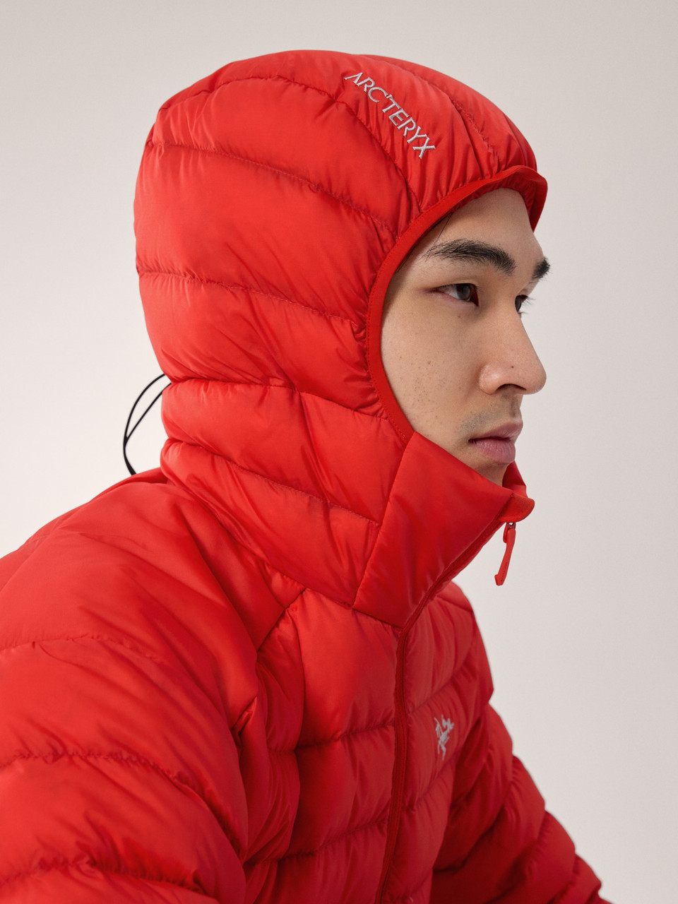 Arc'teryx Cerium Hoody - Men's