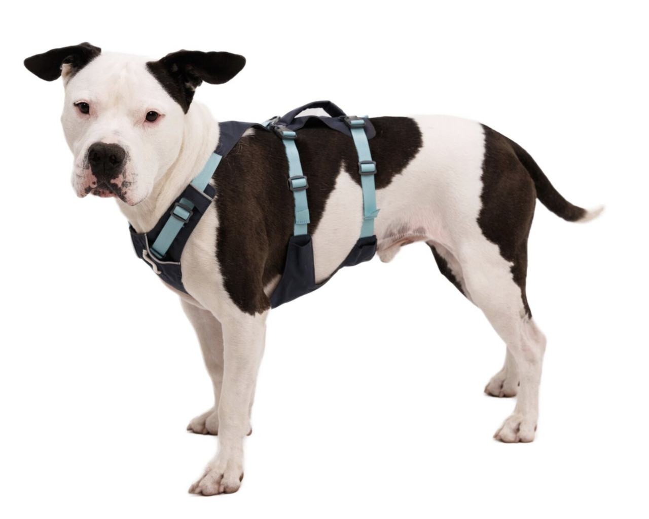 Ruffwear Flagline Harness