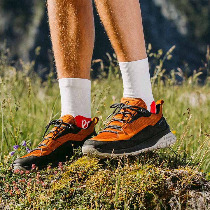 ECCO MEN'S ULT-TRN WATERPROOF LOW SHOE