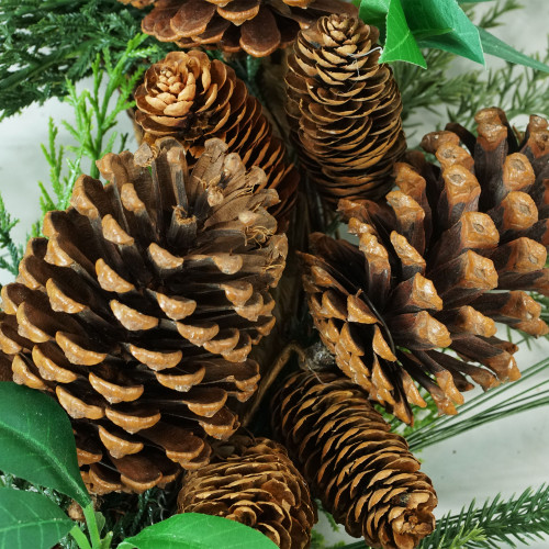 Green Foilage with Mixed Pinecones Artificial Christmas Wreath - 24-Inch, Unlit