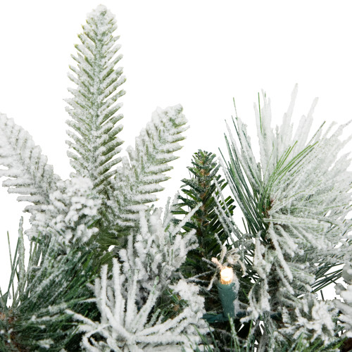 Real Touch?? Pre-Lit Flocked Rosemary Emerald Angel Pine Artificial Christmas Wreath - 30" - Clear LED Lights