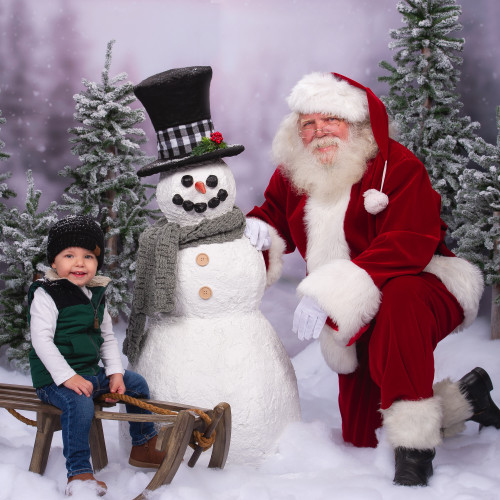 Set of 3 Flocked Alpine Artificial Christmas Trees - Unlit