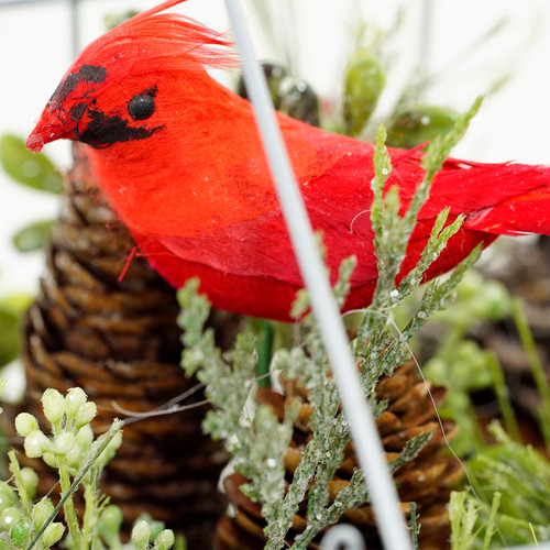 Cardinal Boxwood Artificial Christmas Greenhouse Arrangement - 9" - Red and Green