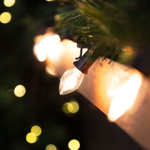 25 Count Clear C7 Christmas Lights, 24ft Brown Wire